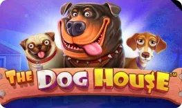 Beturo – The Dog House